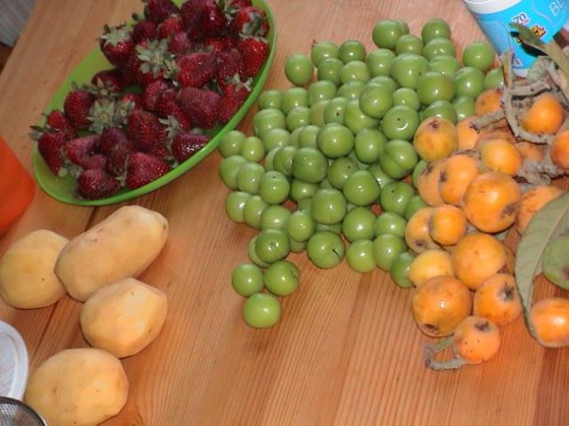Diese Früchte haben sie mitgebracht: Erik & Yeni dünia